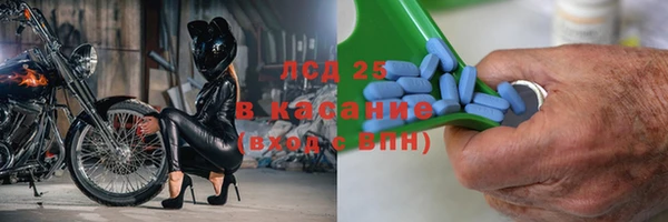 ECSTASY Алзамай