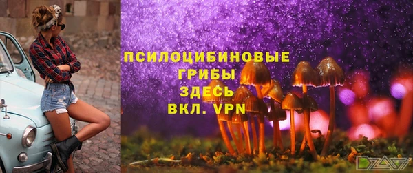 ECSTASY Алзамай