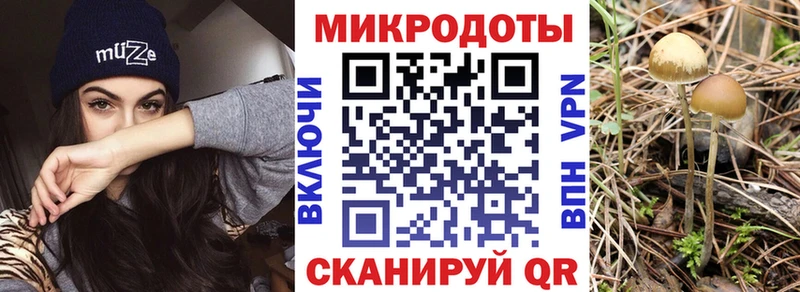 Псилоцибиновые грибы мицелий  Павлово 