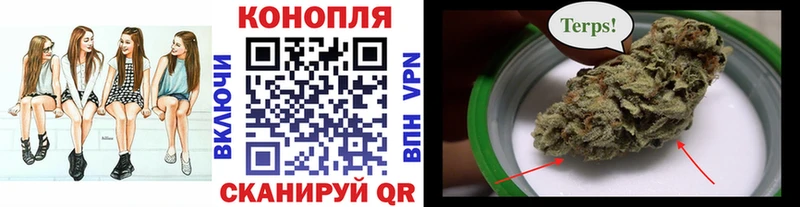 купить наркоту Павлово Марихуана сатива